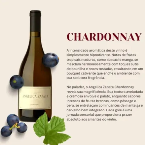 Vinho Argentino Angelica Zapata Chardonnay Alta 750ml - Imagem 2